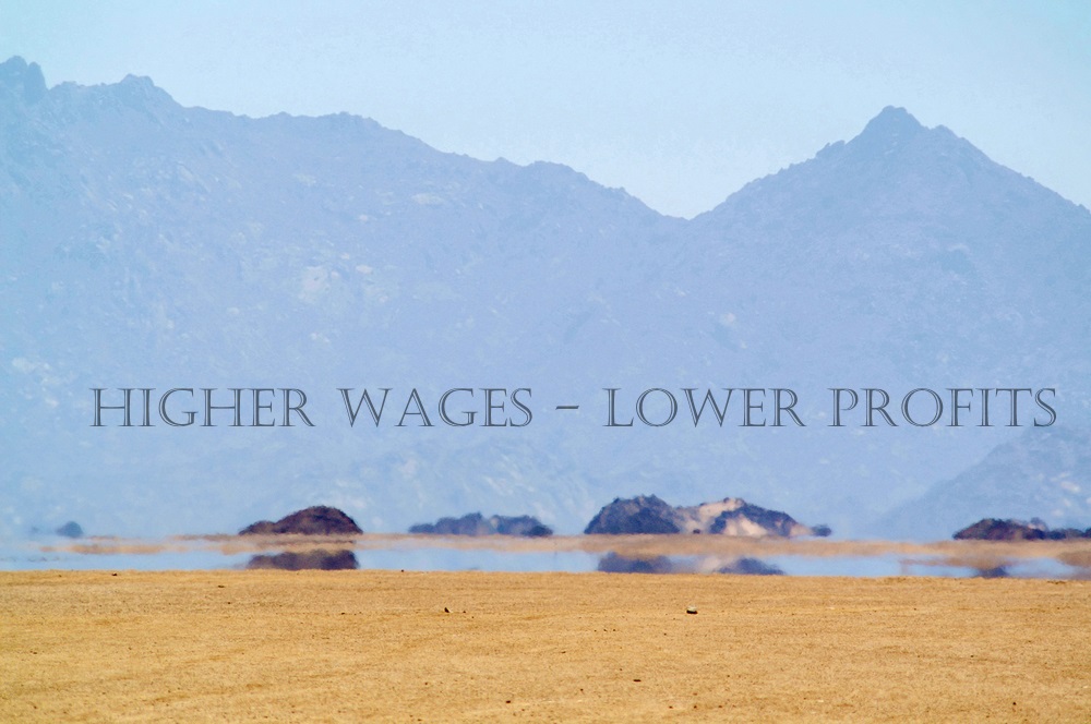 The Market's Mirage of Higher Wages