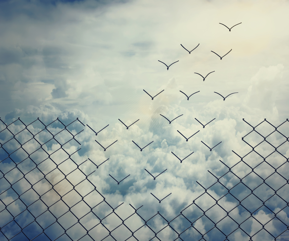 Freedom and the Better Angels of Our Nature