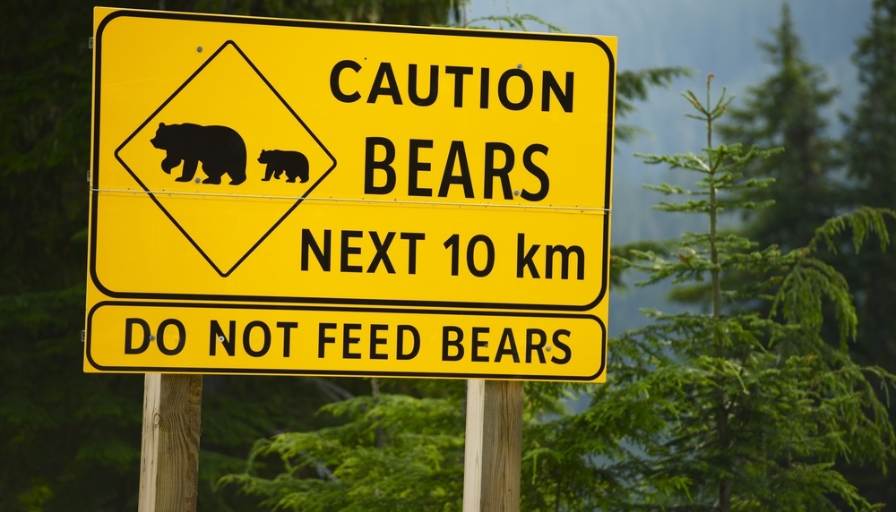 Fortunately, we don’t need The Prospector’s Guide to achieve our goals. All we have to do is read the words of Matt Badiali, Banyan Hill’s newest editor…