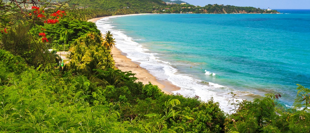For two years, I’ve thought that taking advantage of Puerto Rico's tax decrees might backfire. But I’m now convinced that’s not going to happen.