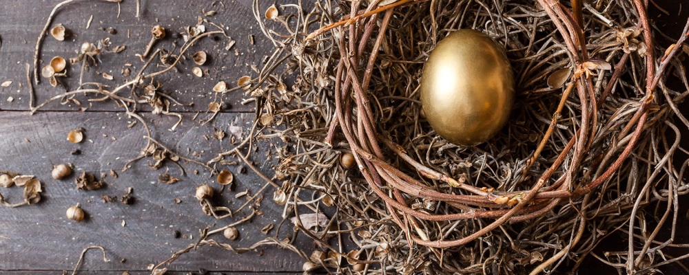 With careful planning and a little knowledge, we can take advantage of a few techniques to build a nest egg to protect against the next financial collapse…