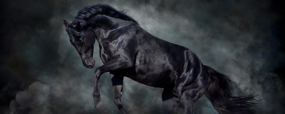 Today, I’m going to suggest a “dark horse” for a potentially bullish tech opportunity for 2019 … though, it may take a while for this position to fully develop.
