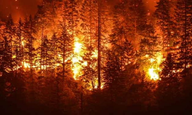 Climate Change Has Made Utilities Stocks Unreliable