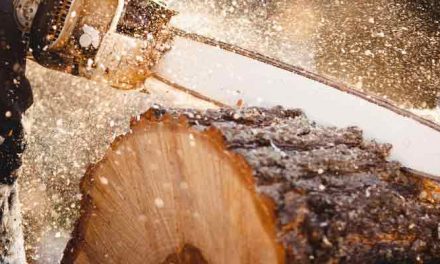 One story some analysts are missing is the price of lumber. After surging to a new all-time high in May, futures prices fell 48% by the end of the year.