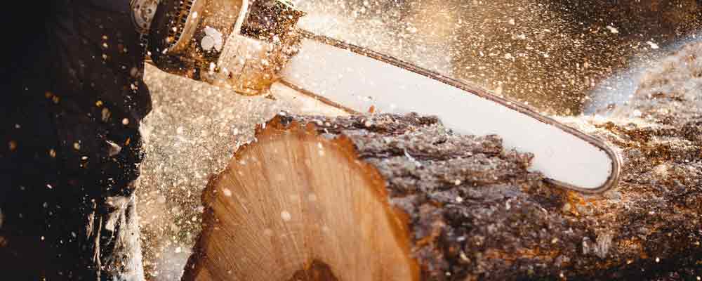 One story some analysts are missing is the price of lumber. After surging to a new all-time high in May, futures prices fell 48% by the end of the year.
