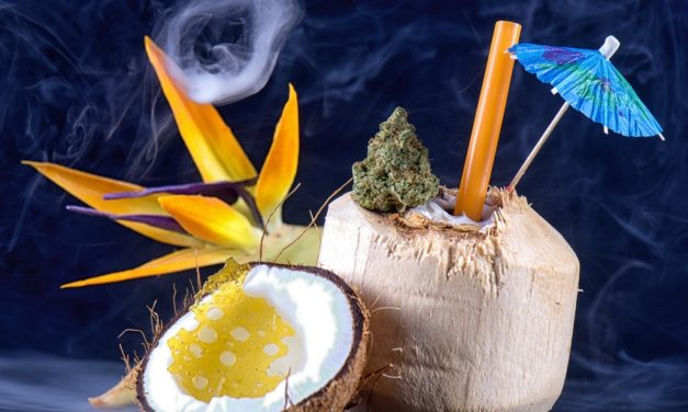 Innovative Cannabis Products Will Lead the Market — 2 Ways to Profit