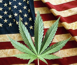 Right now, there’s only one federally licensed pot grower. That’s about to change.
