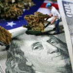 Pot Stock Are Falling