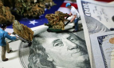Pot Stock Are Falling