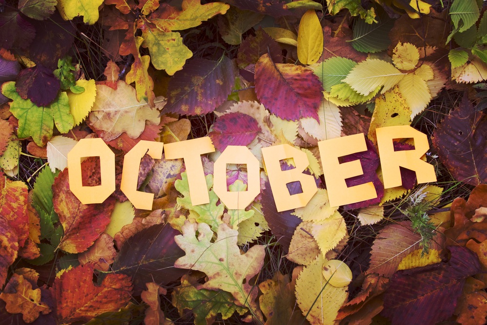 Purchase This Option in October