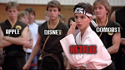 Nothing’s ever going to keep Netflix Inc. (Nasdaq: NFLX) down … not even a leg sweep from Disney+.