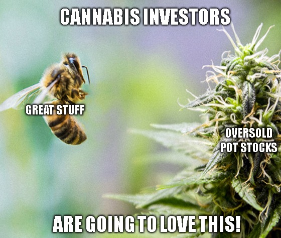 Cannabis stocks, like Aurora Cannabis (ACB), havee been unjustly hammered over this vaping disease. That means profits for those who invest wisely now.