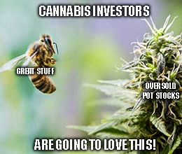 Cannabis stocks, like Aurora Cannabis (ACB), havee been unjustly hammered over this vaping disease. That means profits for those who invest wisely now.