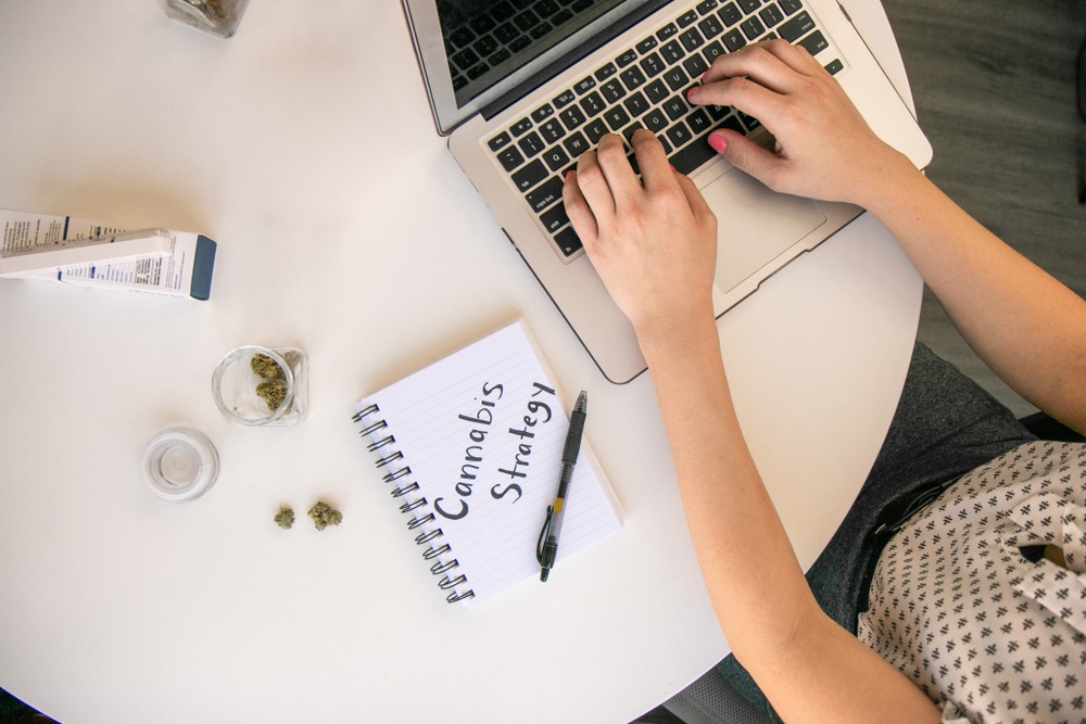 Cannabis Investing Strategy with laptop