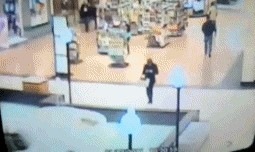 lady falls into fountain on cell phone