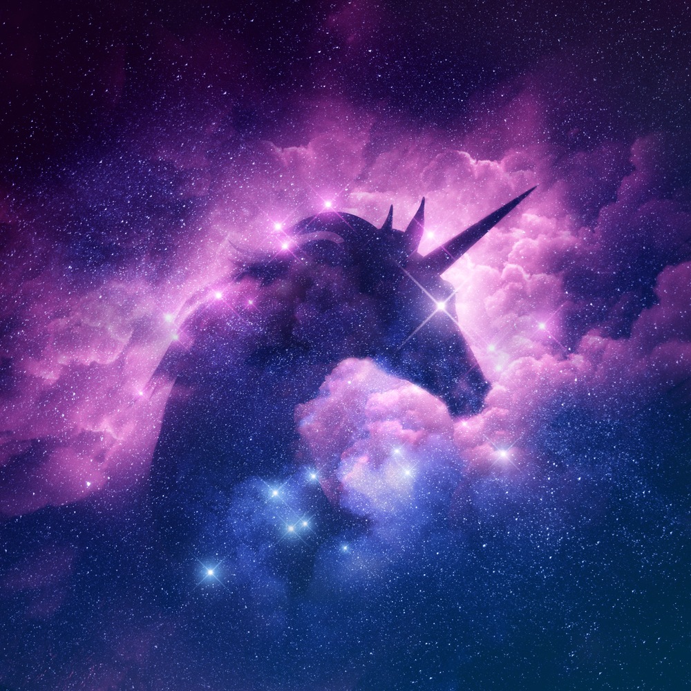 IPO unicorns; Wall Street tech darlings are falling flat. WeWork joins Peloton, Uber, Slack and Chewy in the IPO dissapointment hall of fame.