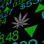 Cannabis stocks are going to be around for a long time. If your moral code allows, they deserve consideration as a part of your portfolio.