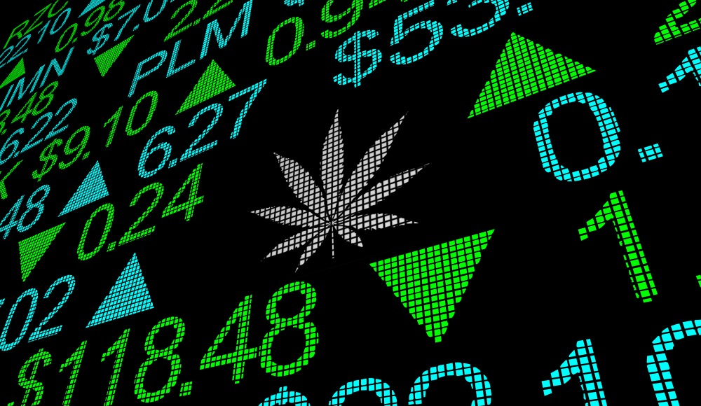 Cannabis stocks are going to be around for a long time. If your moral code allows, they deserve consideration as a part of your portfolio.