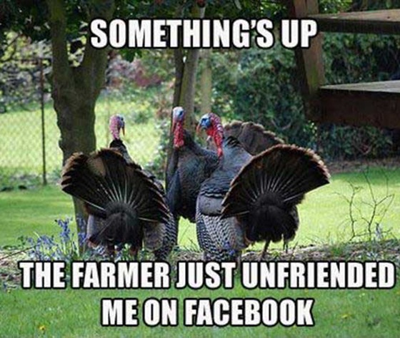 Happy Thanksgiving from Great Stuff!