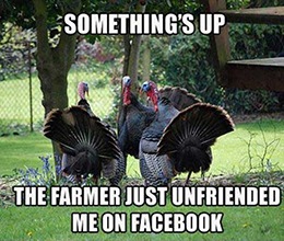 Happy Thanksgiving from Great Stuff!