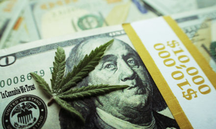 pot stock, cannabis leaf and dollar