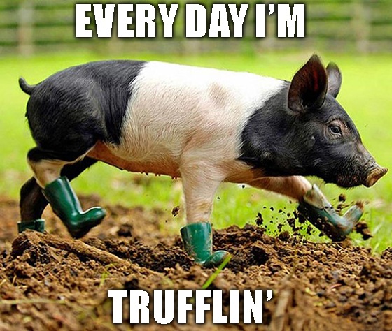 While you contemplate Chinese pork, Great Stuff will take a holiday break. 