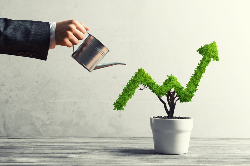 2020 stocks growing like plants