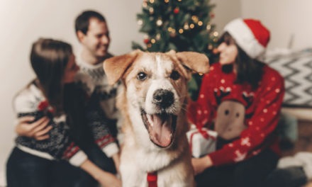 A Gift Better Than We Deserve