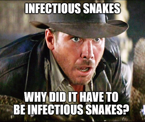 The Wuhan virus locks down the market rally with a snake surprise. Don’t panic! We’ve got you covered.