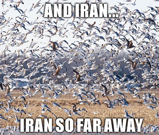 Is this the start of a new trading cycle on Wall Street? Stay tuned for the Iran War Cycle.