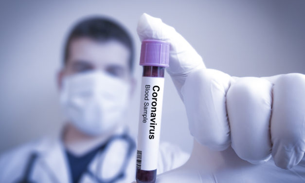 Investors’ Survival Guide to the Coronavirus
