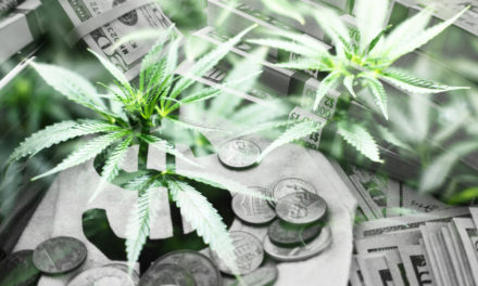 2020 Cannabis Market Report