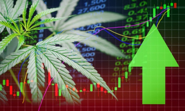 Cannabis Rally Alert: 1 Overlooked Stock to Buy Now