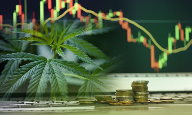 Pot Stock Apocalypse: Survive and Profit With This 1 Stock