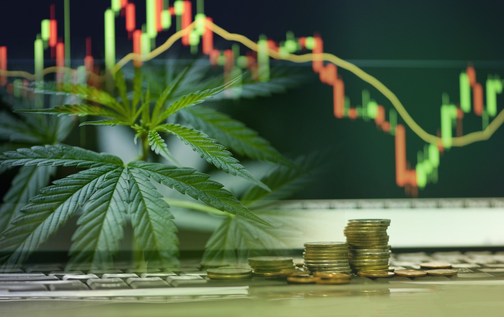 Given the dour mood of pot stock investors, I can see why some might doubt this is a possibility. But that’s how fortunes are made.