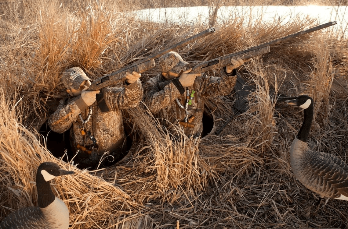 hunters looking for ducks