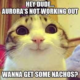 Canadian weed producer Aurora Cannabis Inc. (NYSE: ACB) is stoned, and now everyone knows it.