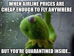 Airline stocks soared today, and the stimulus eagle hasn’t even landed yet. (I’m a little creeped out by “stimulus eagle,” but whatever…)