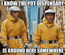 To fill the massive hole that COVID-19 is creating in state budgets, DataTrek Research’s Jessica Rabe suggests that states could legalize recreational cannabis sales.