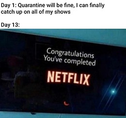 Netflix added 15.77 million paid subscribers. That’s more than double the company’s own projections for 7 million new subs.