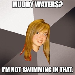 Muddy Waters Research has eHealth Inc. (Nasdaq: EHTH) feeling the blues this morning.