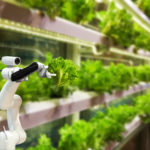Automantion ETF
