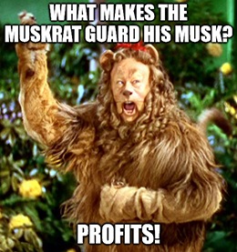 Tesla (TSLA) gets Elon Musky when it comes to reopening the economy.