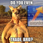 Forget bulls and bears — this is the kangaroo market, and you need to beware. It’s not just market volatility that we’re talking about there…