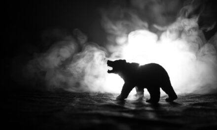 Beware the <em>No. 2</em> Bear Market Mistake