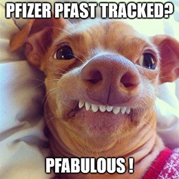 The FDA just fast-tracked two coronavirus vaccine candidates made by Pfizer Inc. (NYSE: PFE) and its partner BioNTech SE (Nasdaq: BNTX).