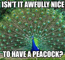 Comcast Corp. (Nasdaq: CMCSA) strut out its new Peacock streaming service today.