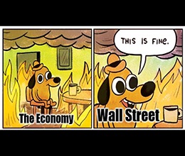 After a 4% whipsaw in one day, Wall Street gets an increasing sense that the recovery will be drawn out … I told you so.