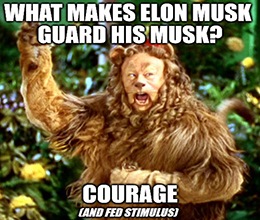 Whistling Tesla; Kodak Moments; Walmart Plus Ultra