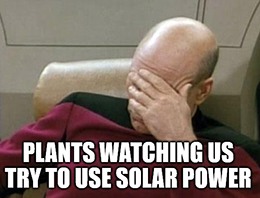 First Solar believes that the increased pandemic restrictions could prompt U.S. customers to turn away from Chinese competitors.